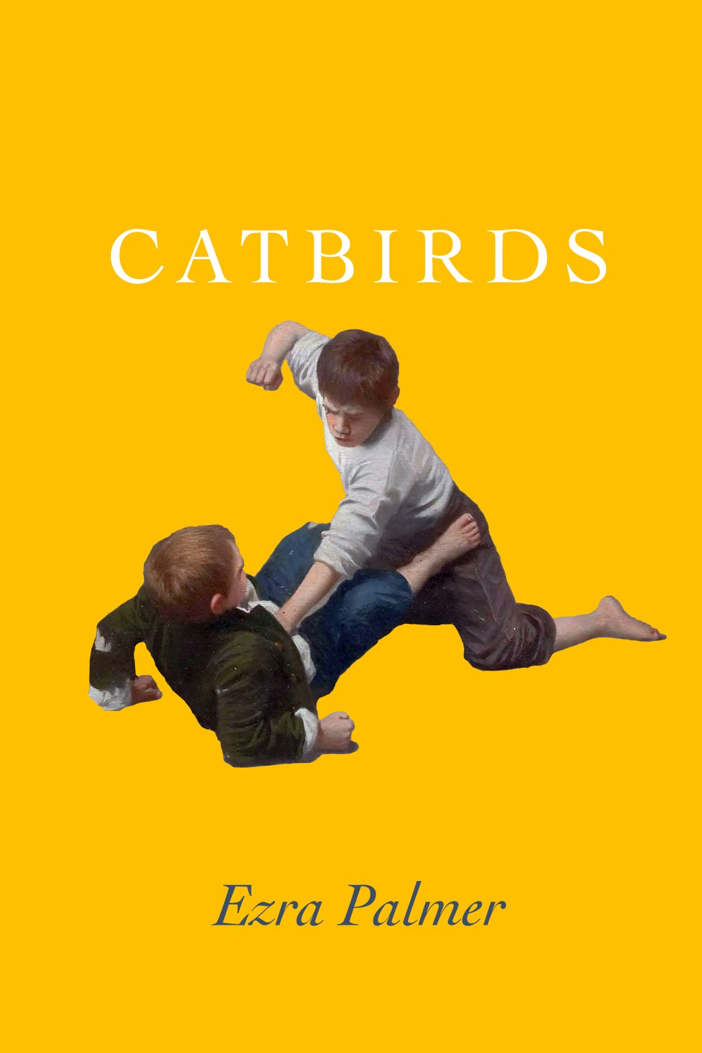 Catbirds